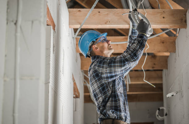 Best Electric Panel Repair  in Hamburg, NJ